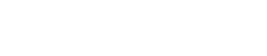ALLEGANY INSURANCE GROUP